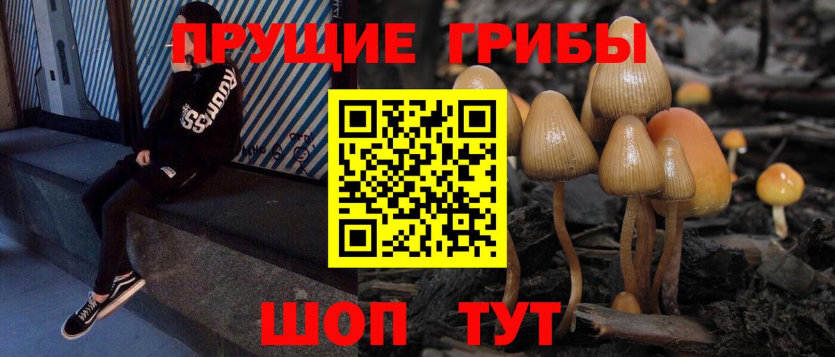 Псилоцибиновые грибы прущие грибы Сланцы