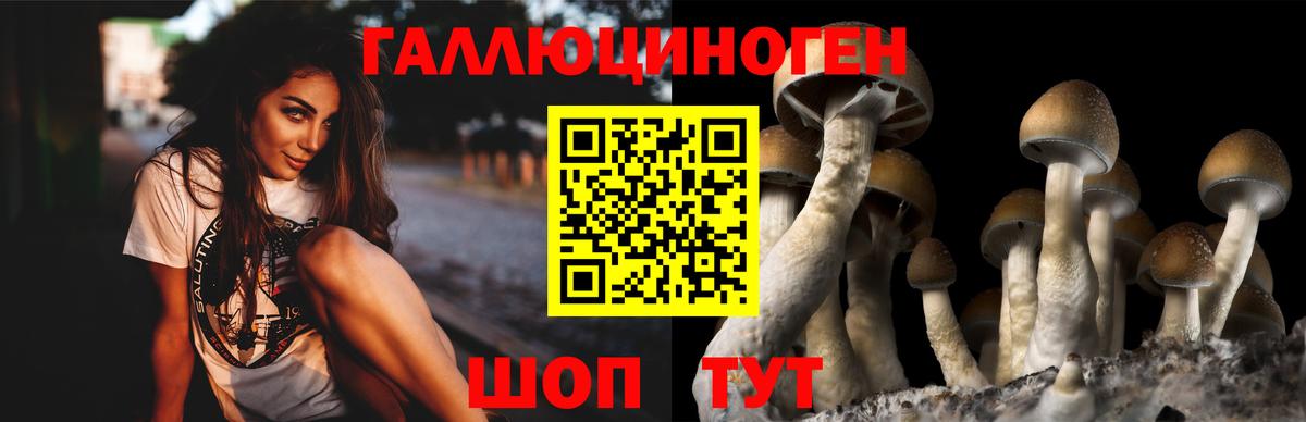 Псилоцибиновые грибы Magic Shrooms  Вход с VPN  наркошоп  Сланцы 